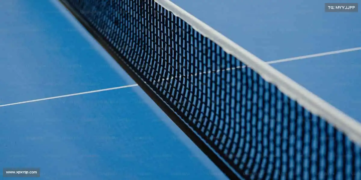 行业领先的理由